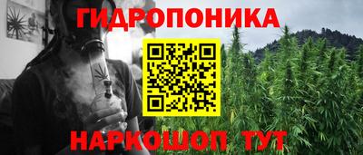 винт Можга