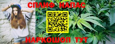 винт Можга