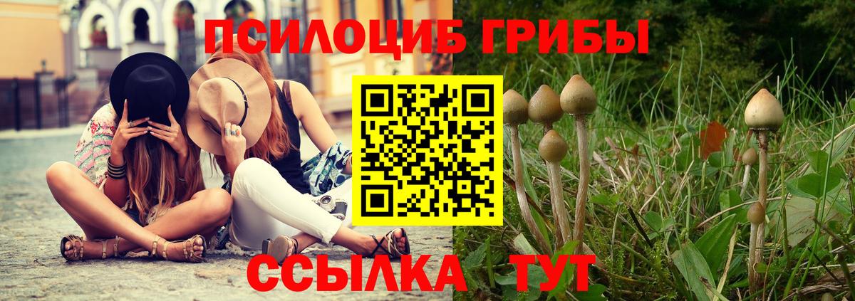 Галлюциногенные грибы мицелий Чусовой