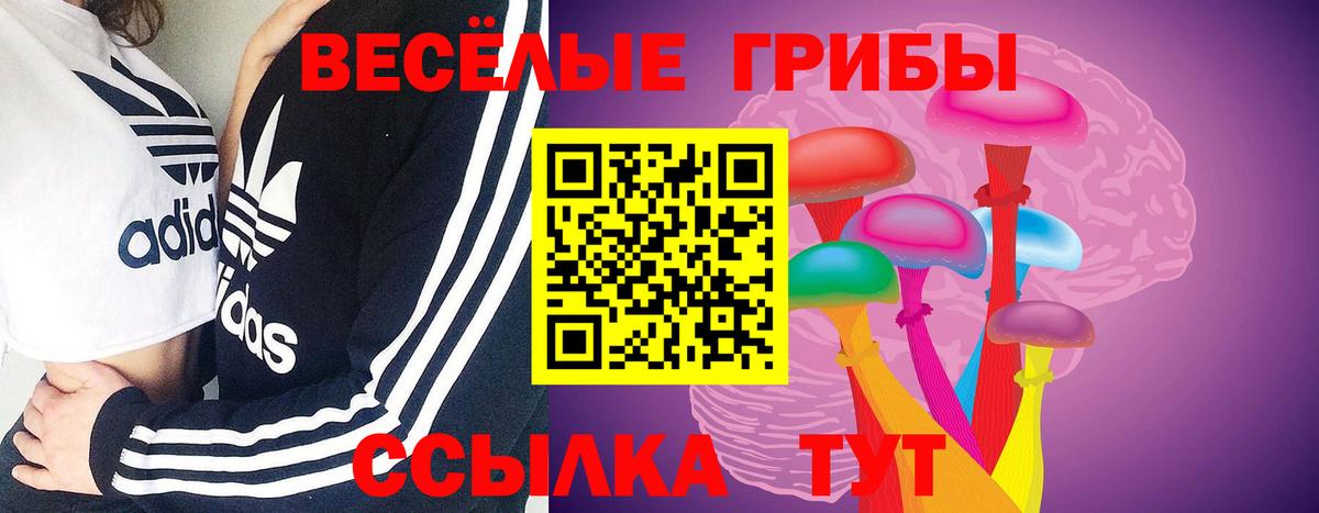Чусовой  Псилоцибиновые грибы мухоморы  Вход с VPN 